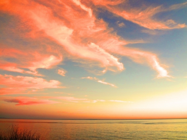 出生届の読み方 龍平 竜平 赤ちゃんの名前